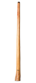 Tristan O'Meara Didgeridoo (TM509)